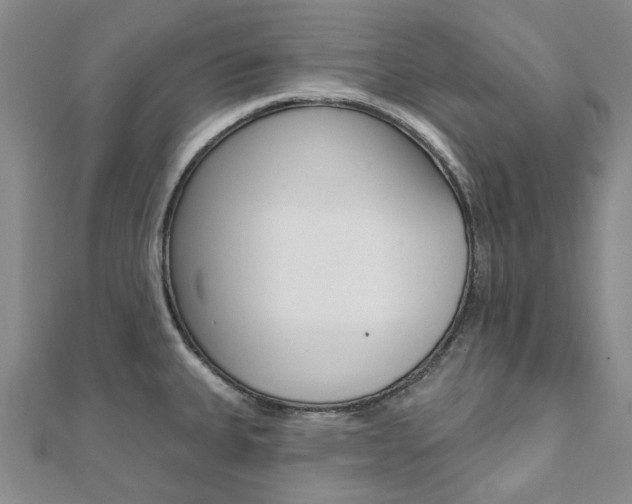 X0000112061335200908041003