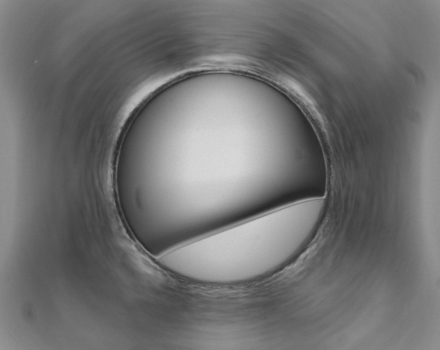 X0000112061336200908041003