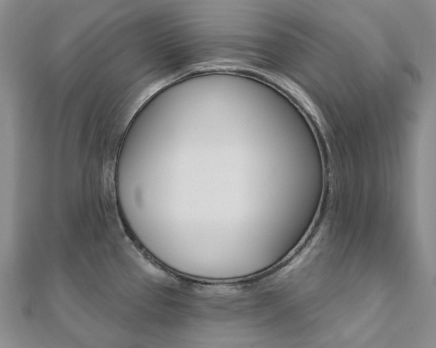 X0000112061337200908041003