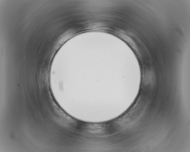 X0000112061338200908041003