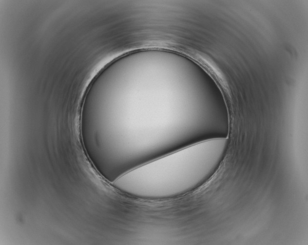 X0000112061340200908041003