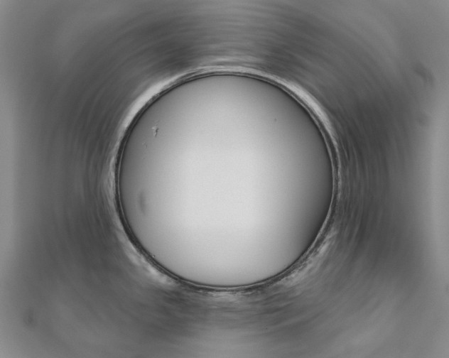X0000112061341200908041003