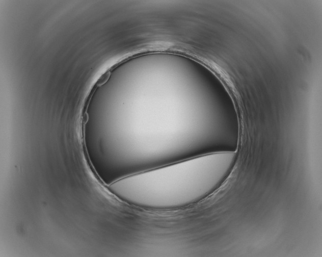 X0000112061342200908041003