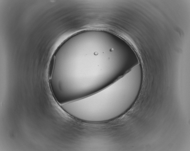 X0000112061344200908041003