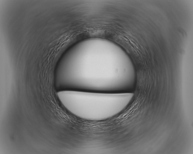 X0000112061345200908041002