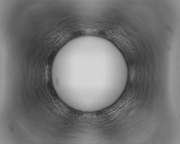 X0000112061346200908041002