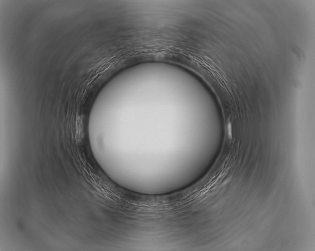 X0000112061347200908041002