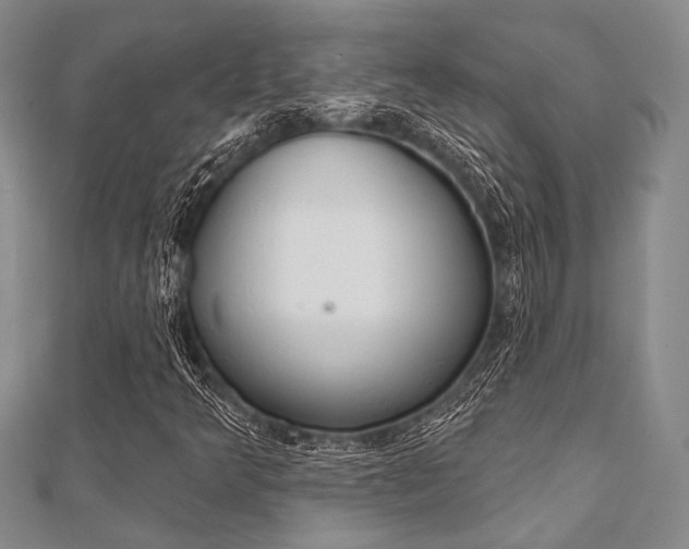 X0000112061349200908041002