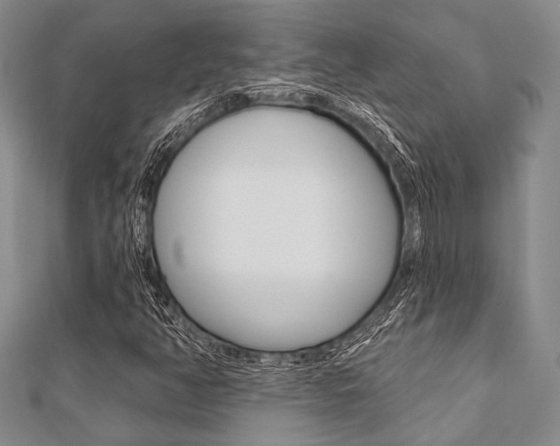 X0000112061350200908041002
