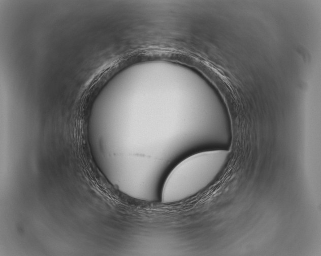X0000112061351200908041002