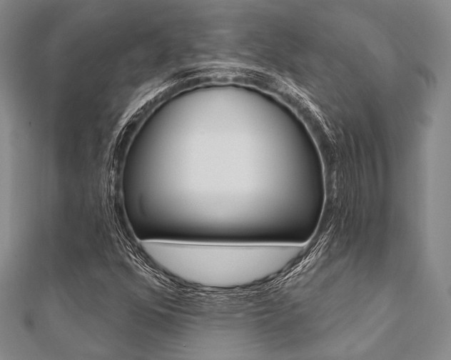 X0000112061352200908041002