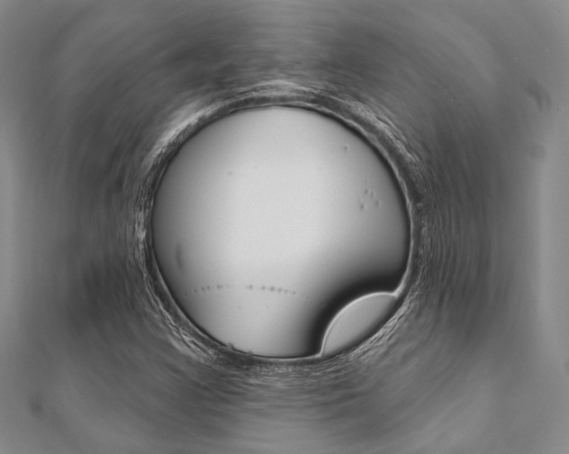 X0000112061355200908041002