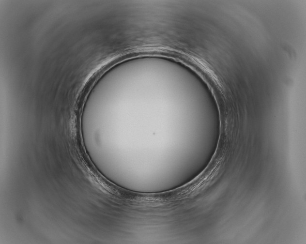 X0000112061356200908041002