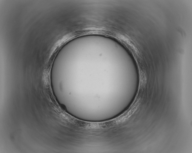 X0000112061357200908041002