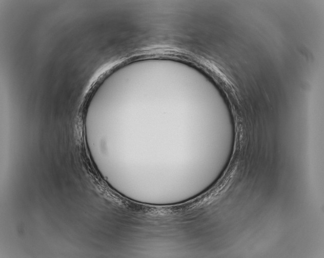 X0000112061358200908041002