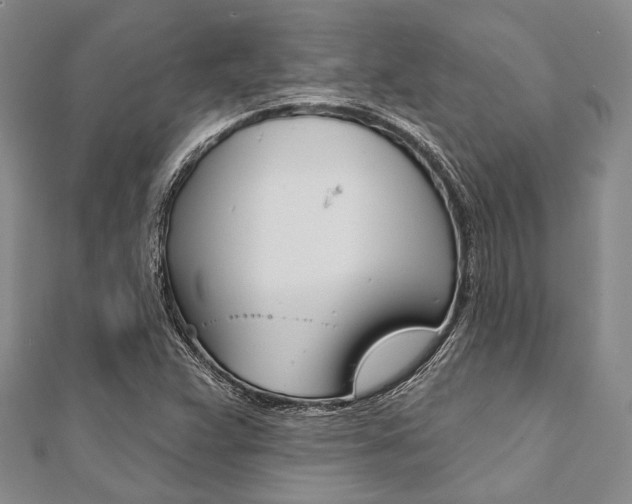 X0000112061359200908041002