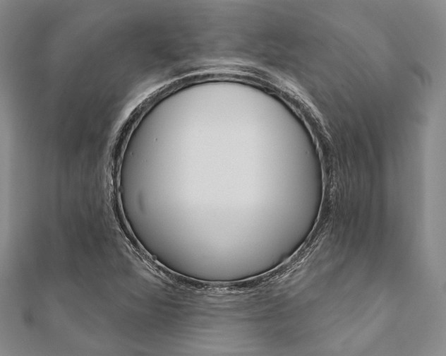 X0000112061360200908041002