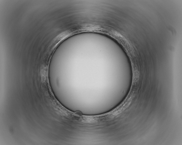 X0000112061361200908041002