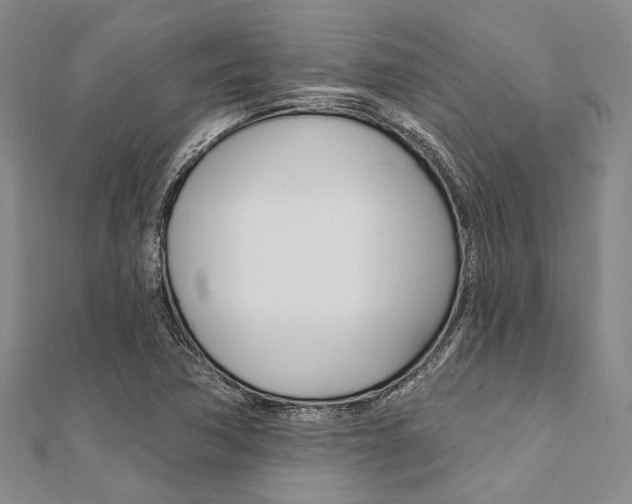 X0000112061362200908041002