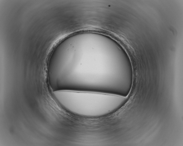 X0000112061363200908041002