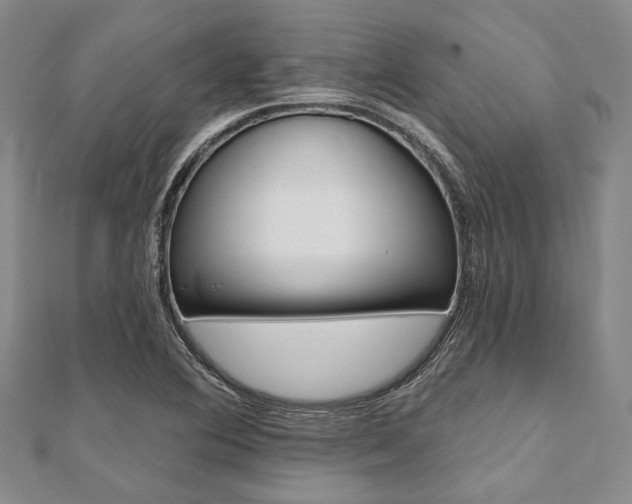 X0000112061364200908041002
