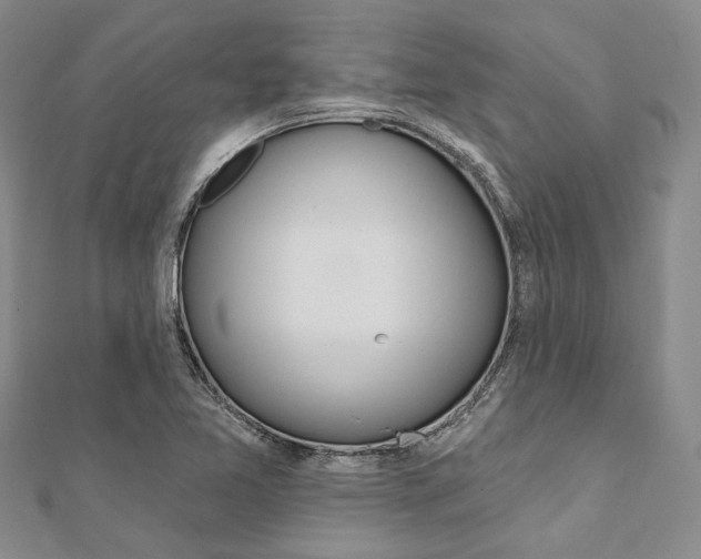 X0000112061365200908041002