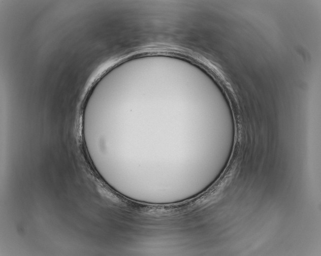 X0000112061366200908041002