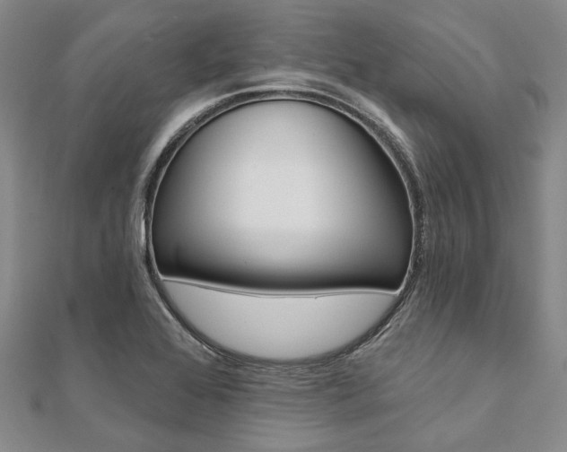 X0000112061368200908041002