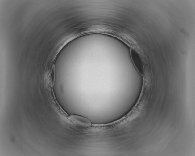 X0000112061369200908041002