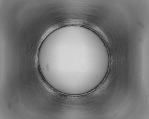 X0000112061370200908041002