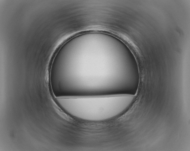 X0000112061372200908041002