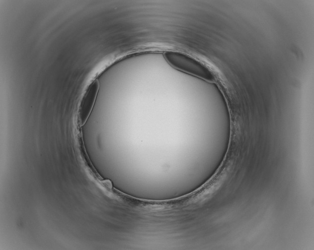 X0000112061373200908041002