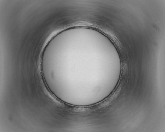 X0000112061374200908041002