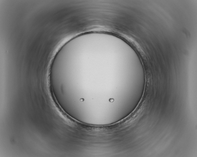X0000112061375200908041002