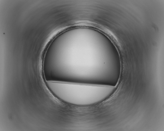 X0000112061376200908041002