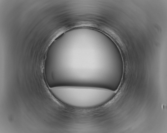 X0000112061377200908041002