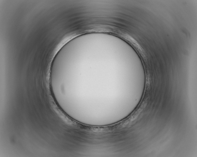 X0000112061378200908041002
