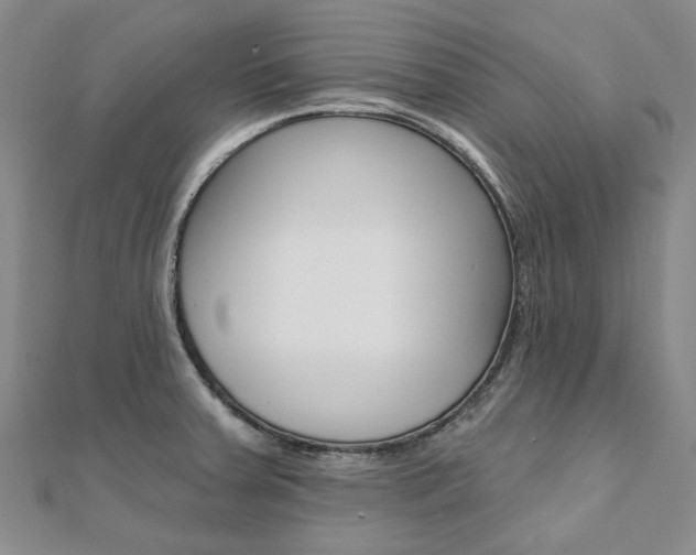 X0000112061379200908041002