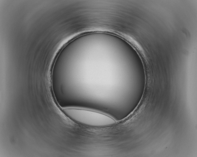 X0000112061380200908041002