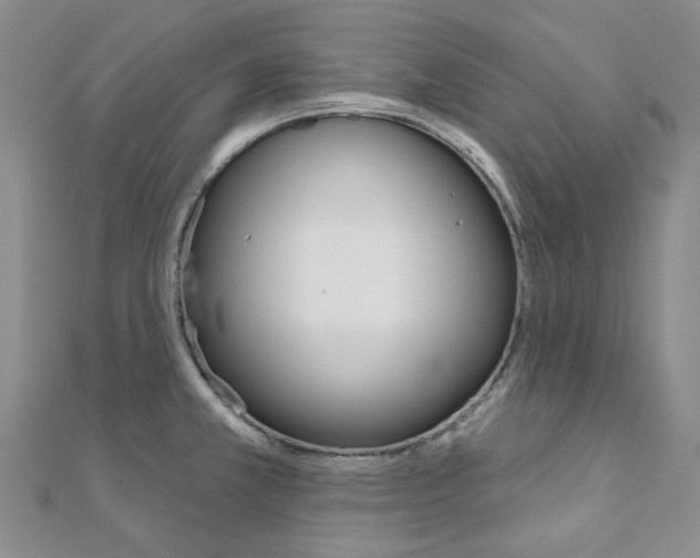 X0000112061381200908041002