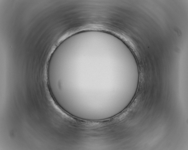 X0000112061382200908041002