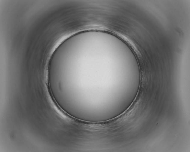 X0000112061383200908041002