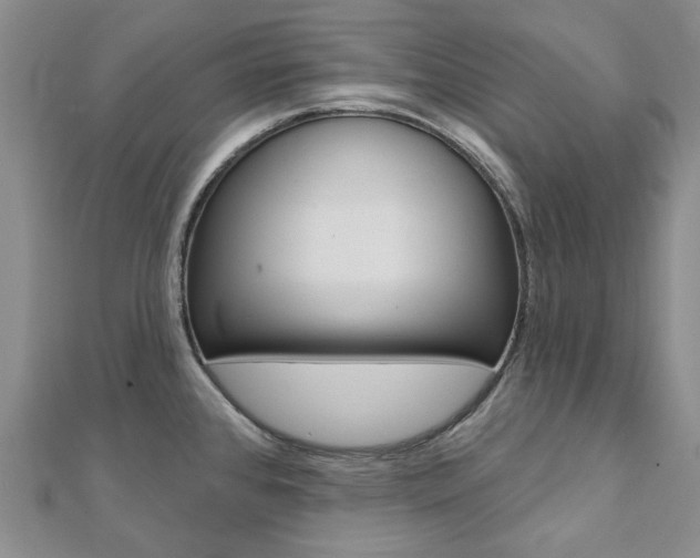 X0000112061384200908041002