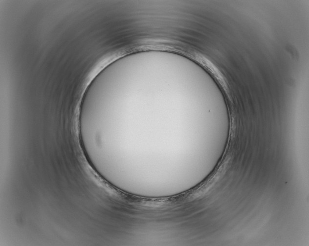 X0000112061386200908041001