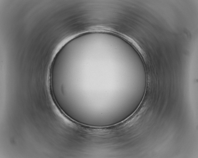 X0000112061387200908041001