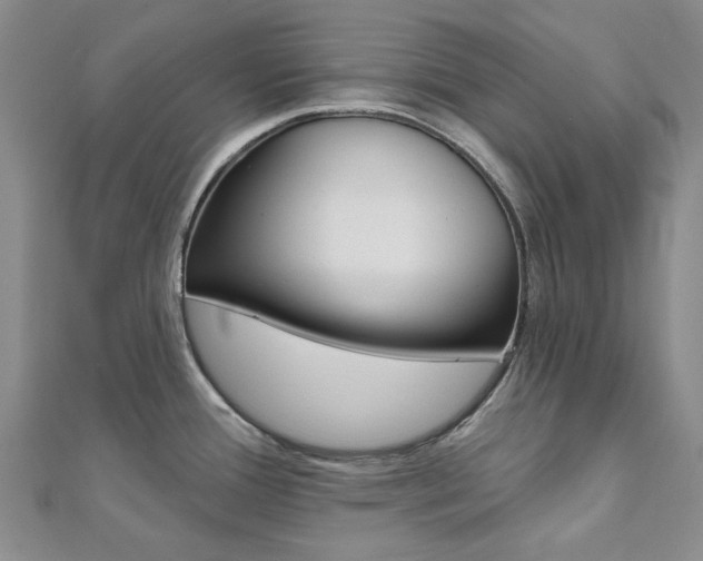 X0000112061388200908041001