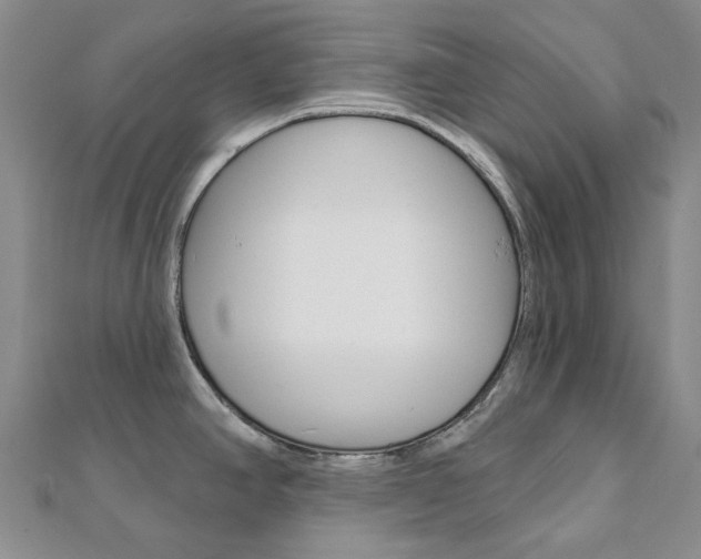 X0000112061390200908041001
