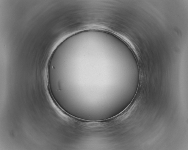 X0000112061391200908041001