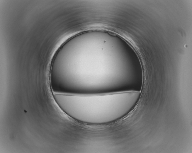X0000112061392200908041001