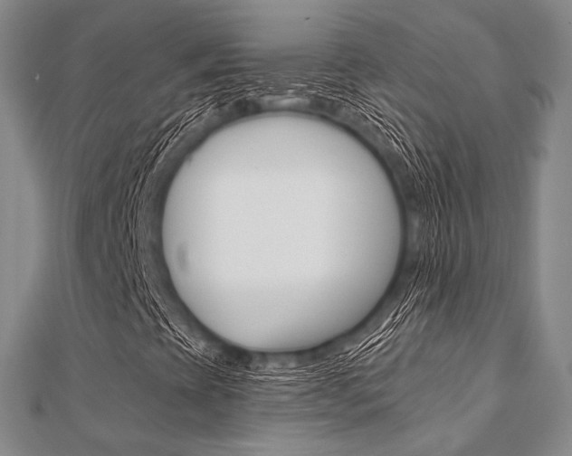 X0000112061393200908041001